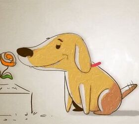Easy-To-Understand Cartoon On How A Dog’s Nose Can “See” [Video]