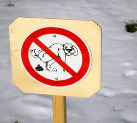 New York’s Potential Dog Poop Problem Will Scare The Crap Out Of You