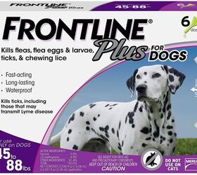 Treating flea bites on dogs sale