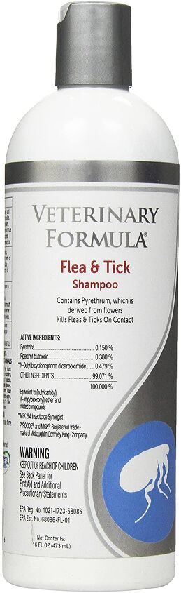 How To Treat Flea Bites On Dogs | PetGuide