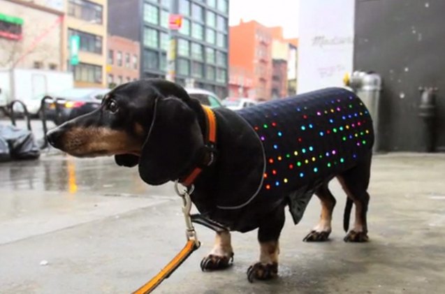 flashback the 70s are back with the light up disco dog vest