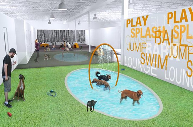 toronto 8217 s first upscale dog resort opens to wagging reviews