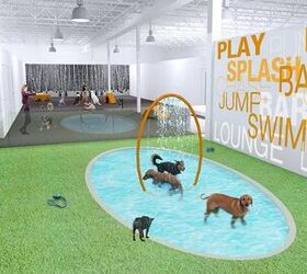 Toronto’s First Upscale Dog Resort Opens To Wagging Reviews