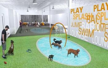 Toronto’s First Upscale Dog Resort Opens To Wagging Reviews