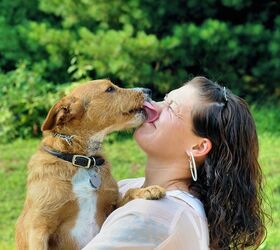 Pucker Up: Your Dog’s Kisses Could Prevent Allergies