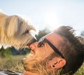Doggy See, Doggy Do? Study Looks At Dogs Adopting Owners’ Personalit