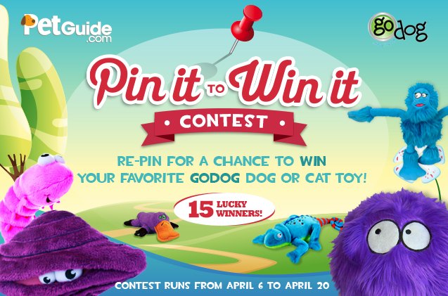 petguides first pin it to win it pinterest contest