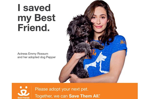 actor emmy rossum the latest 8220 save them all 8221 poster pet mom