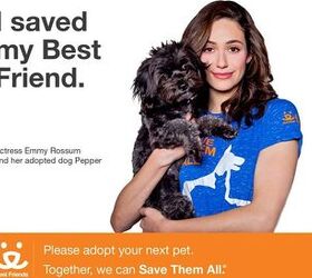 actor emmy rossum the latest save them all poster pet mom