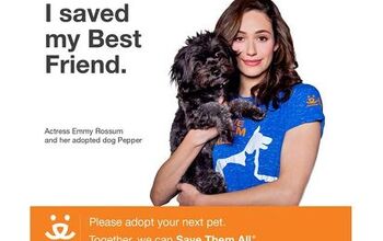 Actor Emmy Rossum The Latest “Save Them All” Poster Pet Mom