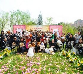 It’s Official: Largest Collective Pet Wedding Takes Place In China