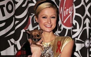 Paris Hilton’s Beloved Dog Tinkerbell Dies