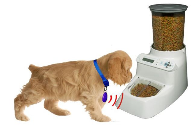 autodiet feeder puts an end to your pets 8217 all you can eat buffet