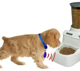 autodiet feeder puts an end to your pets all you can eat buffet