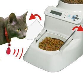 autodiet feeder puts an end to your pets all you can eat buffet