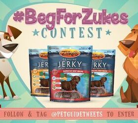 It’s Back! Let’s See Your Dog #BegForZukes On Twitter