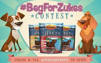 It’s Back! Let’s See Your Dog #BegForZukes On Twitter