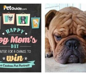 Our Happy Dog Mom’s Day Contest Winner Is…
