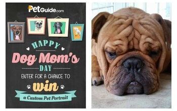 Our Happy Dog Mom’s Day Contest Winner Is…