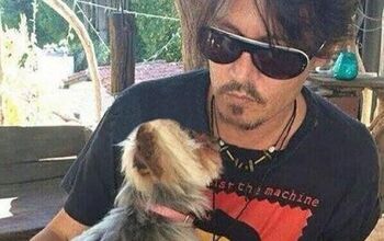 Johnny Depp’s Dogs Receive Death Threats… From The Australian Gove