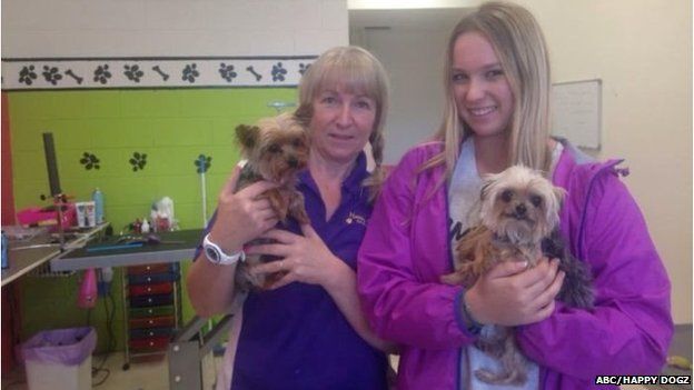 johnny depp 8217 s dogs receive death threats from the australian government