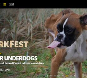 TV Goes To The Dogs During NatGeo WILD’S BarkFest