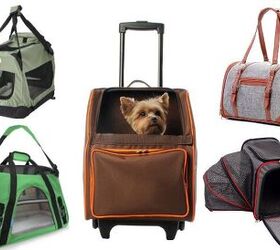 12 Best Dog Carriers 2023