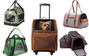 Top 10 Dog Carriers For Fashionable Trekkers