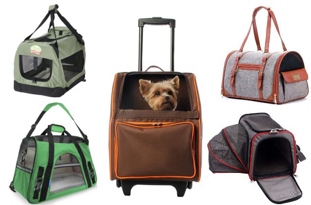 top 10 dog carriers for fashionable trekkers