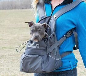 10 Best Designer Dog Carriers 2020 [Buying Guide] – Geekwrapped