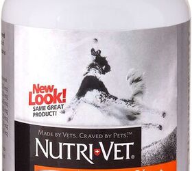 Natural Health Brewer s Yeast Benefits For Dogs PetGuide