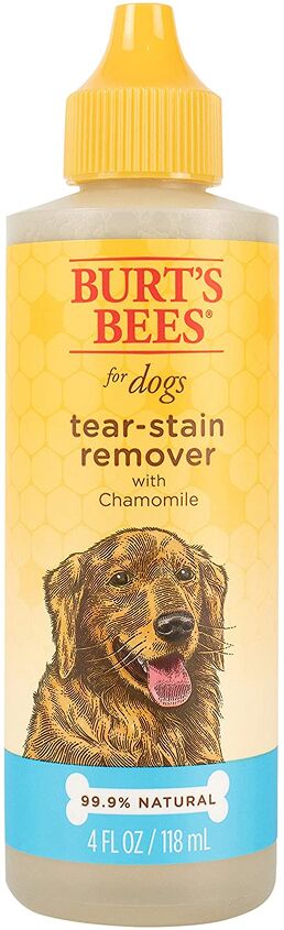 dog tear stains causes and treatments