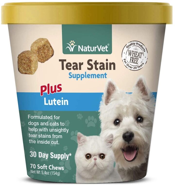 dog tear stains causes and treatments