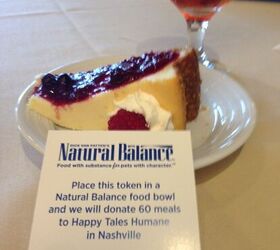 cheesecake and keepsakes why blogpaws is about more than pets