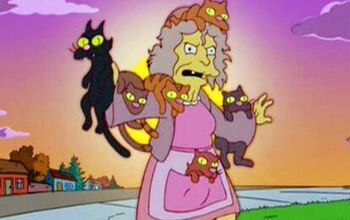9 Signs You’re A Crazy Cat Lady