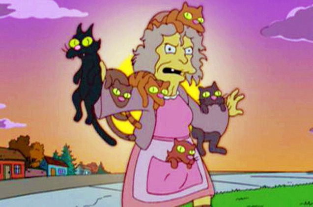 9 signs youre a crazy cat lady