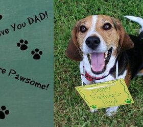 Ask The Hairy Dogfathers: Planning A Frugal Father’s Day