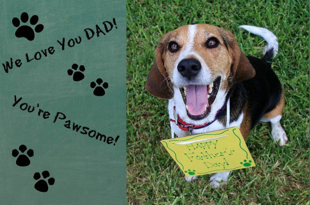 ask the hairy dogfathers planning a frugal fathers day
