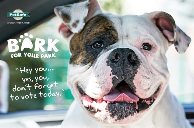 petsafe 8217 s 2015 bark for your park finalists announced