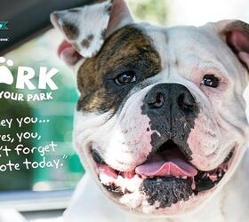 PetSafe’s 2015 Bark for Your Park Finalists Announced
