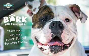 PetSafe’s 2015 Bark for Your Park Finalists Announced