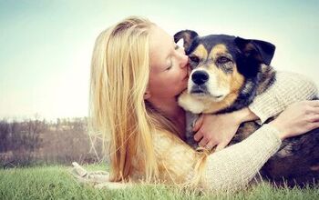 Survey Says We’d Gladly Pucker Up For Our Pooch