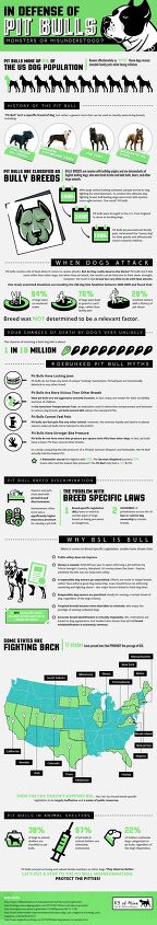 get to know the pittie with the truth about pit bulls infographi