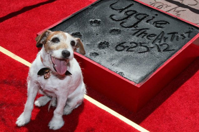 rip uggie the canine star of the artist dies