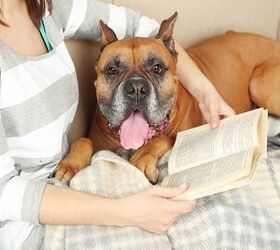 5 Barkworthy Books Every Pet Parent Should Read
