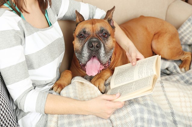 5 barkworthy books every pet parent should read