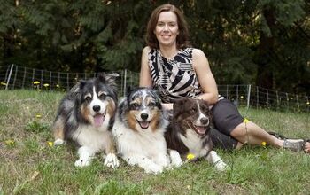 Why A Dog Nutritionist Is Much More Than A “Fido Foodie”