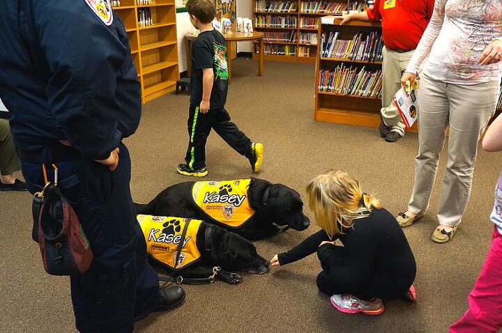 stop drop learn kasey programs dogs teach kids about fire safet