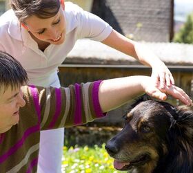 why isn 8217 t service dog fraud against the law