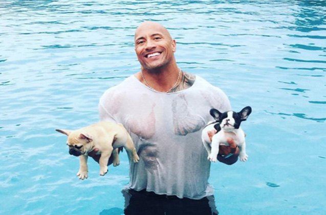 the rock in a wet t shirt holding 2 puppies you 8217 re welcome
